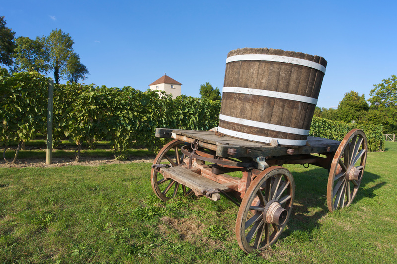 Conservatoire du vignoble Saint-Pourçinois.
