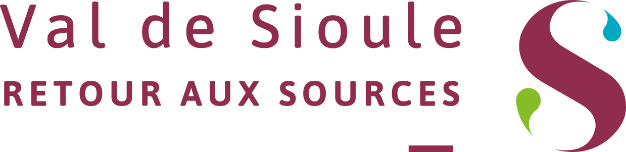 logo-vds